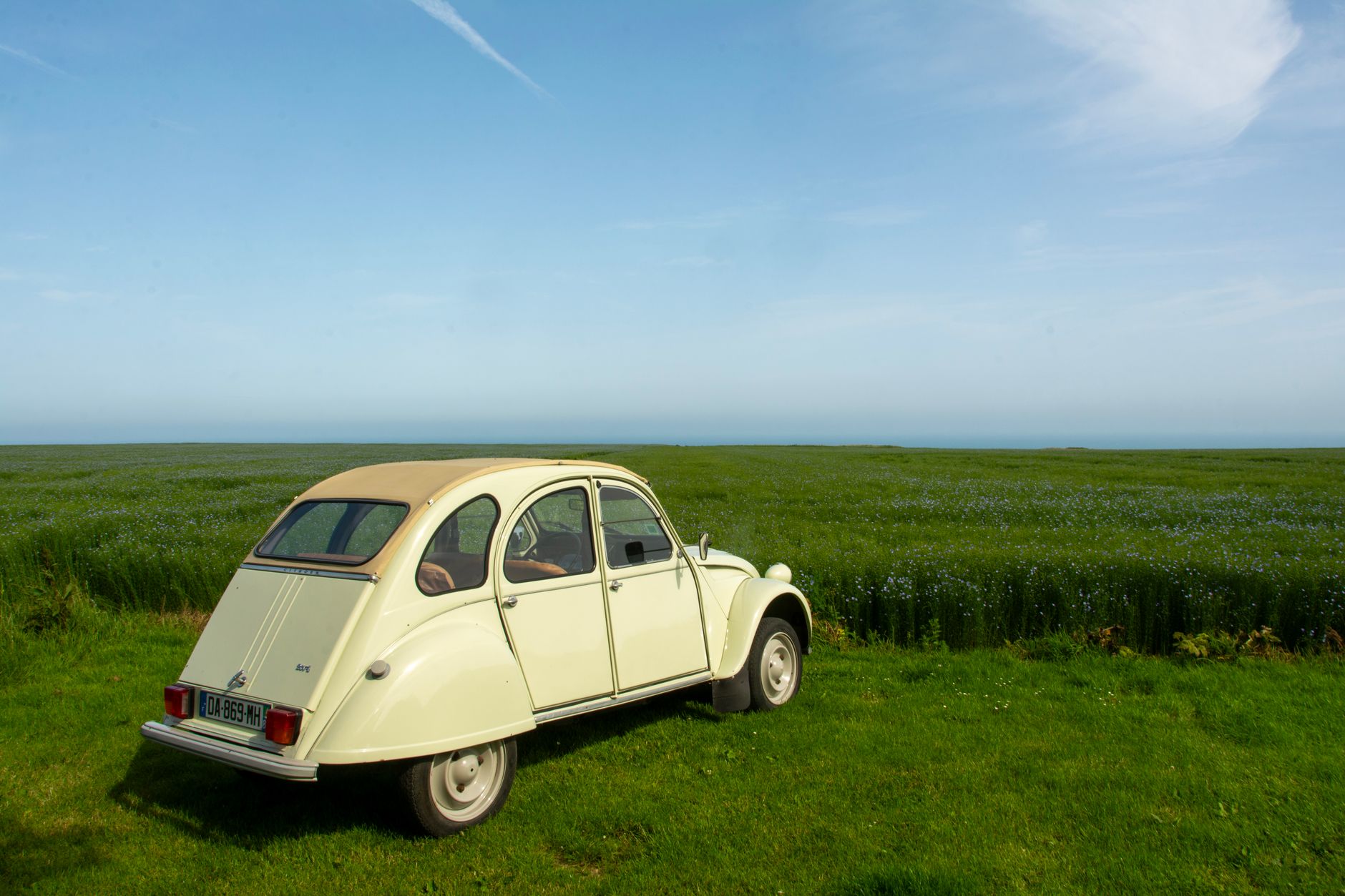 A classic Citroën 2CV car parked in a lush green field under a clear blue sky, capturing nostalgia and exploration.